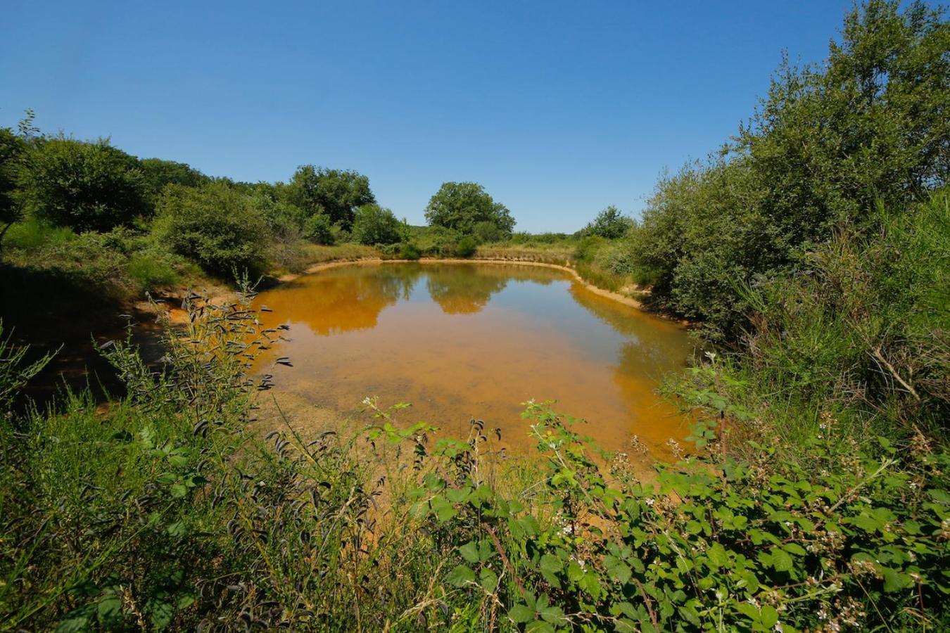 Domaine La Faix, Gite La Chouette Saint-Plaisir Exterior foto